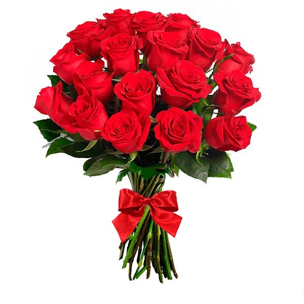 Buquê de rosas vermelhas 20 rosas.